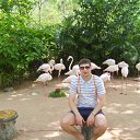 ���� ������, ������ �����, 38 ��� - ��������� 1 ������ 2012 � ������ ���� ����������