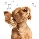 ���� �����, �����, 38 ��� - ��������� 22 ������� 2011 � ������ ���� ����������