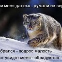 ���� ����� - ���������� ��������!!!, �����������, 56 ��� - ��������� 13 ������� 2009 � ������ ��������� ����һ