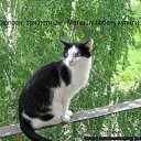 ���� ����������, �����-���������, 45 ��� - ��������� 8 ������� 2011 � ������ ���� ����������