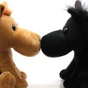  Niedara, , 51  -  5  2012   !!!!!!