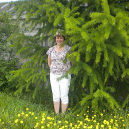 ������, �����, 65 ���