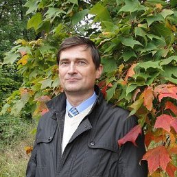 ����, �����-���������, 59 ���