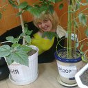 ���� ����, ��������, 41 ��� - ��������� 3 ������ 2012 � ������ ���� ����������