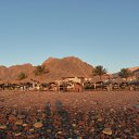 ���� ���, ������ - ��������� 26 �������� 2010 � ������ �������, ����-2010�