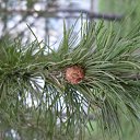 ������� �� � �120�� ������ ���� ������� �� ������� ������������ � ��))))�