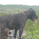 ���� &deg;&bull;*������&deg;&bull;*, ����������, 23 ���� - ��������� 15 ��� 2010 � ������ ���� ��������