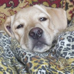 ���� ������, ������ ��������, 48 ��� - ��������� 8 �������� 2011