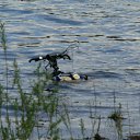 ���� �@����@, ������, 42 ���� - ��������� 28 ���� 2010 � ������ �������