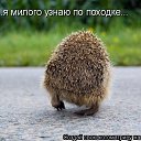 ���� �����, ������ �����, 50 ��� - ��������� 2 ������ 2009 � ������ ��������� ��������