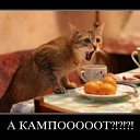 ���� ����@, ��������, 62 ���� - ��������� 4 ��� 2010 � ������ �������-��� ������� ����