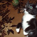 ���� Svetlana, �������, 63 ���� - ��������� 6 ������� 2012