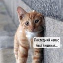 ���� ����, ��������, 46 ��� - ��������� 28 ������ 2011 � ������ ���� ����������