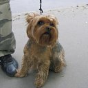 ���� �������, ���������, 41 ��� - ��������� 18 ������ 2011