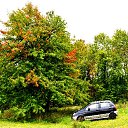���� �������, ����� - ��������� 19 �������� 2011 � ������ ������Ż