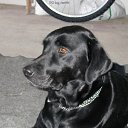 ���� Dimka, ������, 57 ��� - ��������� 5 ����� 2012 � ������ �TIERE�