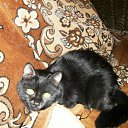 ���� ��������, ������, 61 ��� - ��������� 8 ����� 2010 � ������ ������ �� �������