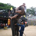 ���� �������, ������, 42 ���� - ��������� 25 ������ 2012 � ������ ���� ����������