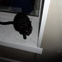 ���� �����, ������-��-����, 50 ��� - ��������� 15 ������� 2013 � ������ ���� ����������