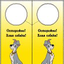 ���� �������, �����, 46 ��� - ��������� 5 ������ 2010 � ������ ���������