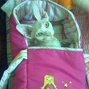 ���� Ninon, ���� - ��������� 16 ������� 2009 � ������ ���� �������