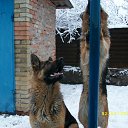  ,  -  13  2012      Ȼ