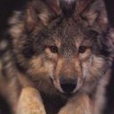 ���� ������ ����������, ���������, 48 ��� - ��������� 2 ��� 2013 � ������ ���� ����������