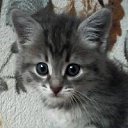 ���� �������, �������-�������, 40 ��� - ��������� 31 ������� 2012 � ������ �������