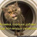 ���� �����, ������������ - ��������� 17 ���� 2010 � ������ ��������