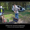 ���� ����, ���������, 42 ���� - ��������� 26 ���� 2012 � ������ �PetLove�