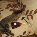   , , 45  -  3  2011   2