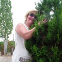 ���� ����, �����-���������, 66 ��� - ��������� 11 ������� 2012 � ������ ��������� �������� 2012�