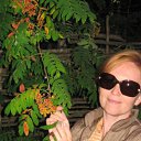 ���� ��������, �����-���������, 59 ��� - ��������� 17 ������� 2011 � ������ ���� ����������