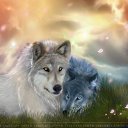  ,  -  15  2012   beauty