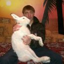 ���� �������, ���������, 34 ���� - ��������� 1 ���� 2012