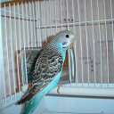 ��� ������� ������ ))))