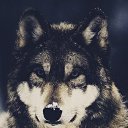 ���� ������, ����������, 28 ��� - ��������� 7 ��� 2013 � ������ ���� ����������