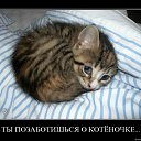 ���� Ninel, ���������, 61 ��� - ��������� 22 ���� 2012 � ������ �����Ȼ