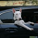 ���� ������, ������� - ��������� 8 ������ 2011 � ������ ������ ��� �����...�