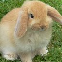 ���� ������ (�� � ��), ������ - ��������� 28 ����� 2011