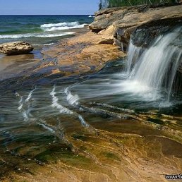 ���� ����, ���������, 46 ��� - ��������� 8 ������ 2010