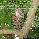 ���� �����, �����-���������, 26 ��� - ��������� 2 ������� 2011 � ������ ������