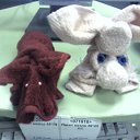 ���� Lara, ��������� - ��������� 16 ����� 2010 � ������ ���� ������� �� �����.�