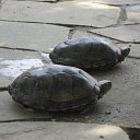 ���� ���, ����� - ��������� 27 ������� 2012 � ������ ���� ����������