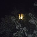 ���� ������, �����������, 54 ���� - ��������� 17 ���� 2013 � ������ ������������