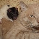 ���� ��������, ������, 40 ��� - ��������� 26 ������ 2012