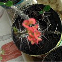   - , , 65  -  27  2012   