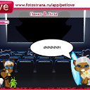 ���� Andy, ������, 50 ��� - ��������� 16 �������� 2010 � ������ �PetLove�