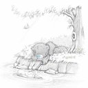 ���� "@����", �����-���������, 25 ��� - ��������� 8 ��� 2010 � ������ �Teddy�