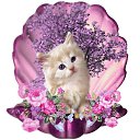 ���� ����, �����-���������, 22 ���� - ��������� 28 ������� 2010